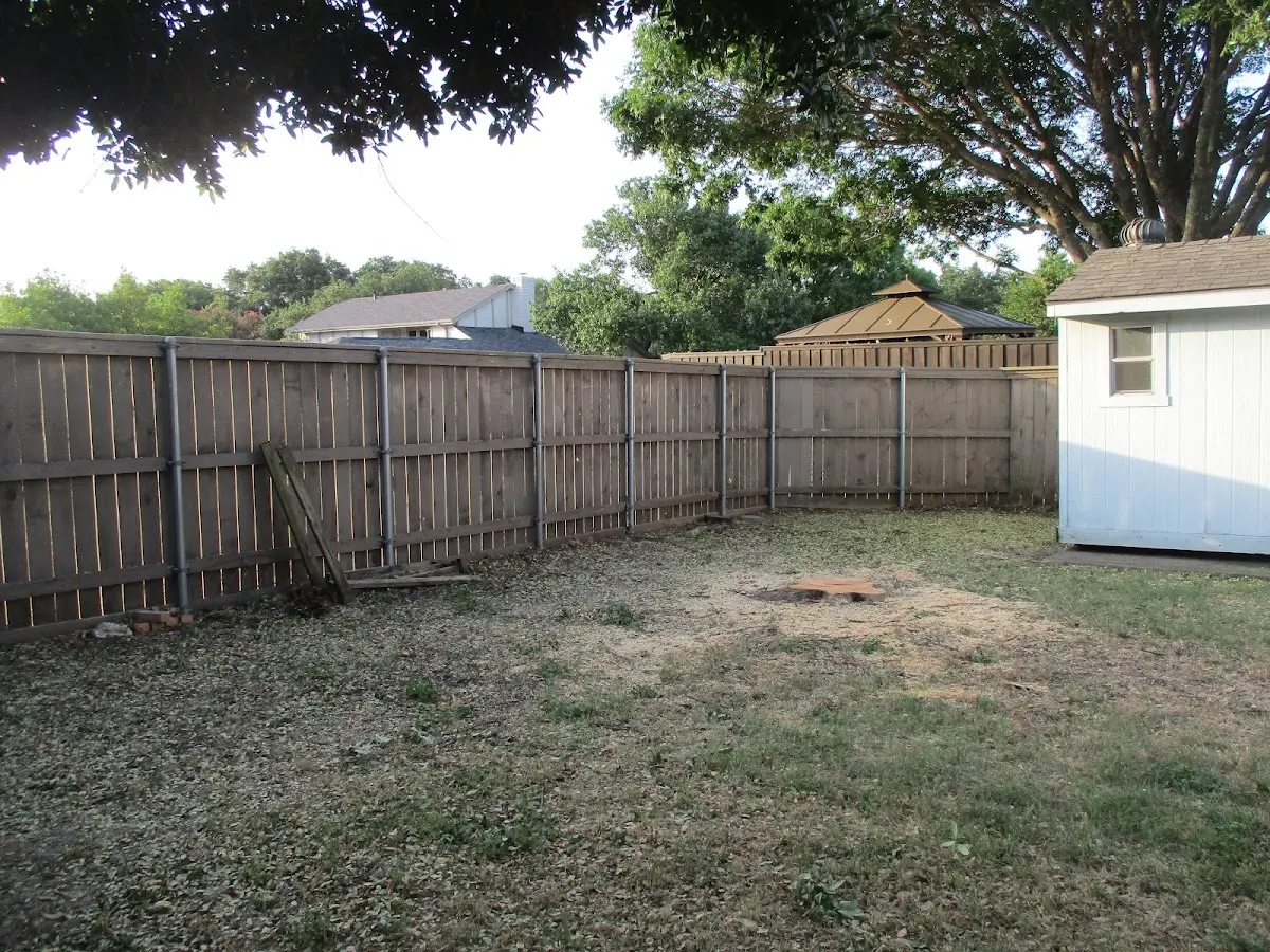 Cleared yard after professional tree removal in Rocky Ford