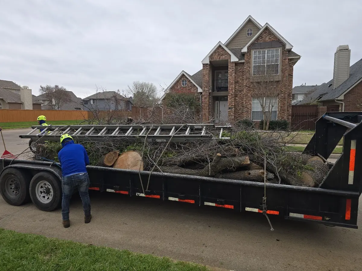 Expert Crown Reduction with proper safety equipment in Rocky Ford